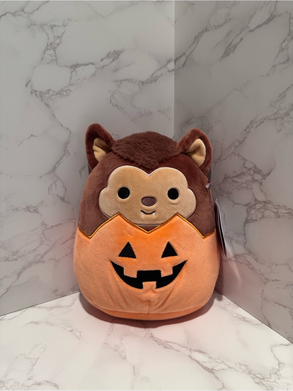 8in Wade the Pumpkin Bat Squishmallows